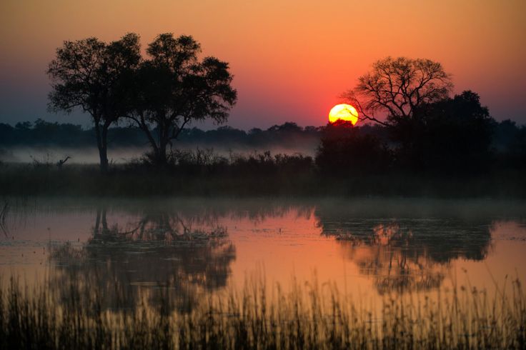 Little Vumbura - Delta de l'Okavango - Botswana