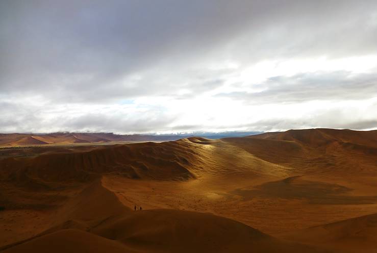 Le Désert du Namib - Namibie
