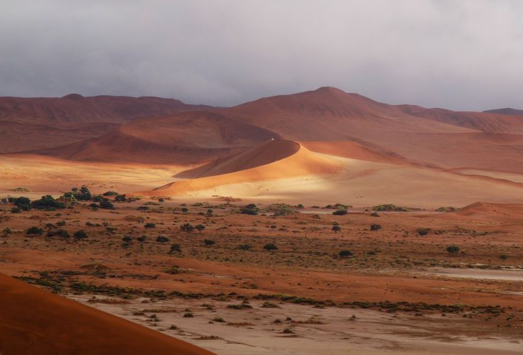 Le désert du Namib - Namibie