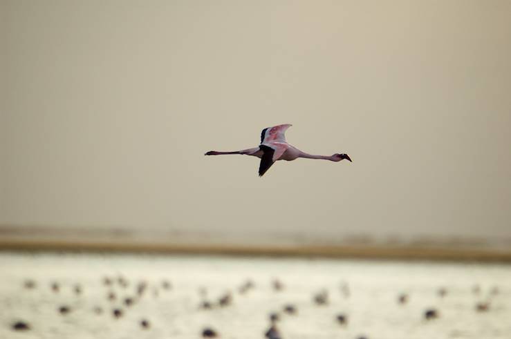 Walvis Bay - Namibie
