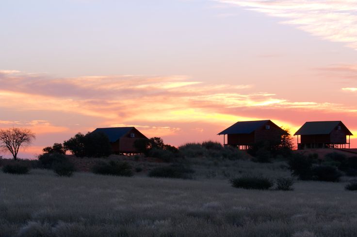 Bagatelle Kalahari Game Ranch - Mariental - Namibie