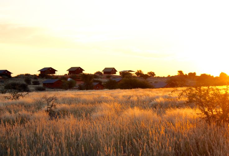 Bagatelle Kalahari Game Ranch - Mariental - Namibie