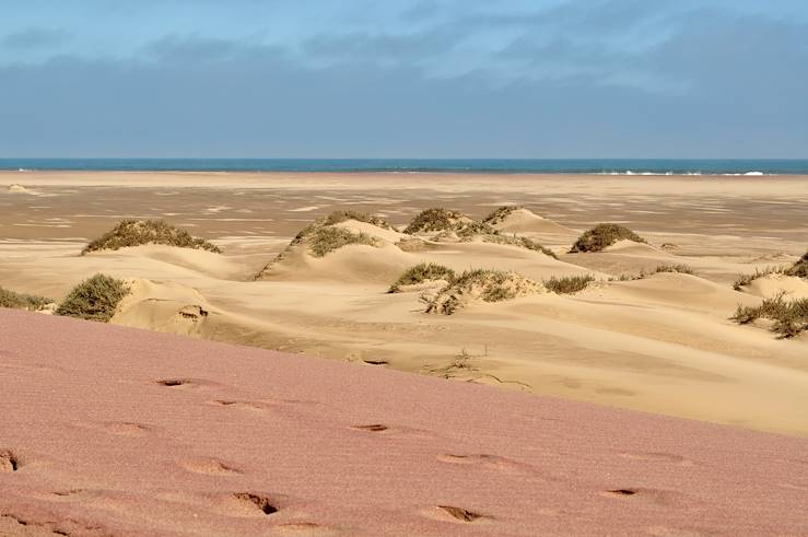 Sandwich Harbor - Parc national du Namib-Naukluft - Namibie