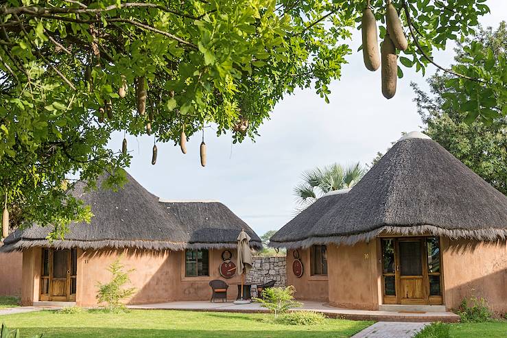 Etosha Est - Nambie