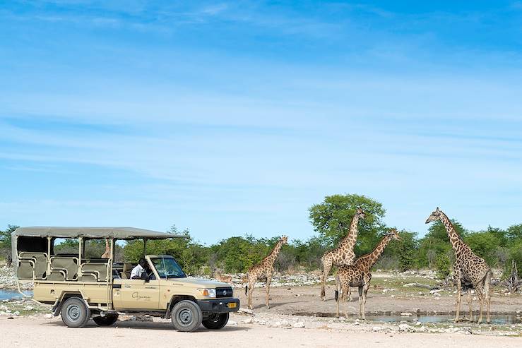 Parc national d'Etosha - Nambie