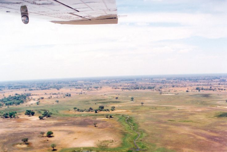 Delta du fleuve Okavango - Botswana