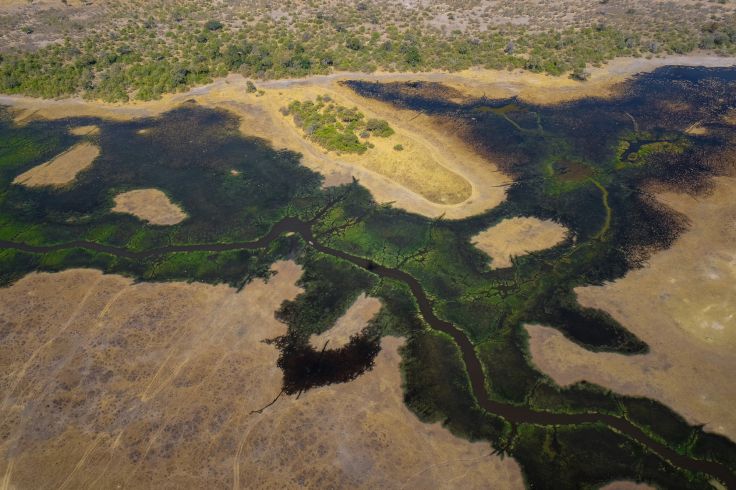 Khwai - Botswana
