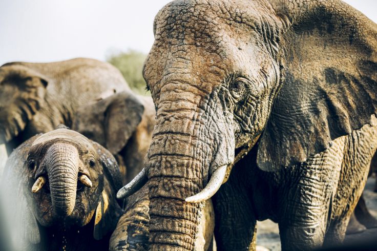 Namibie