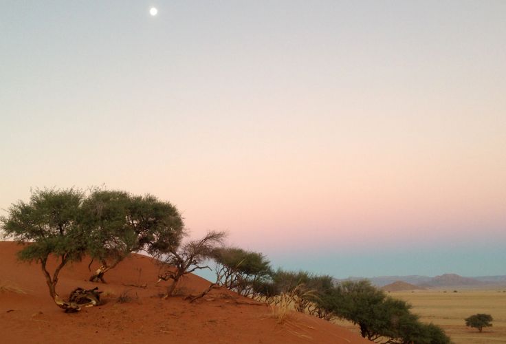 Désert - Sesriem - Namibie