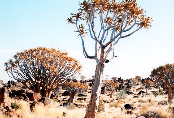 Namibie