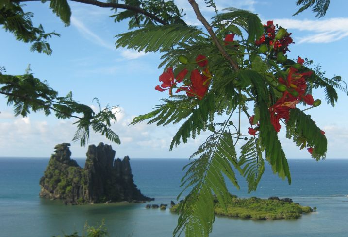 Vue de la Poule de Hienghene - Grande-Terre - Nouvelle-Calédonie