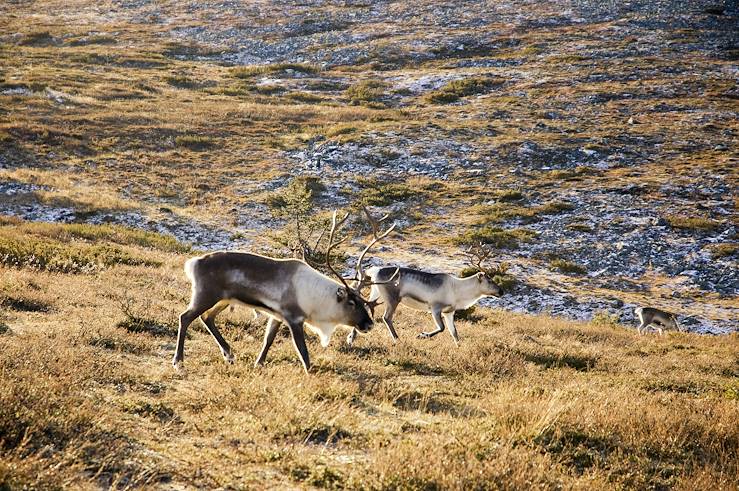 Norvège