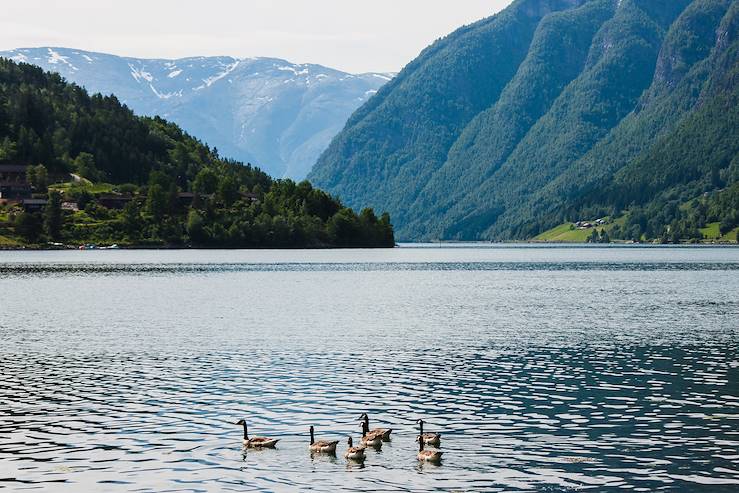 Ulvik - Norvège