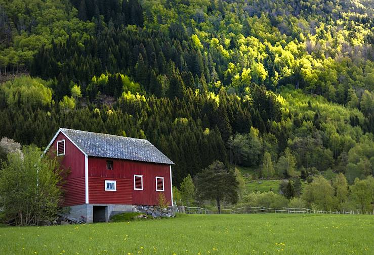 Ulvik - Norvège