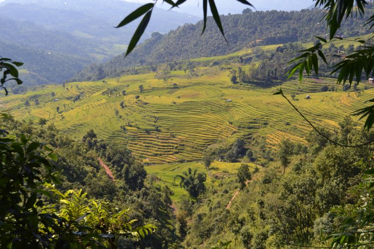 Région de Gorkha - Népal