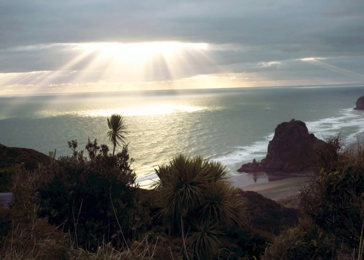 Région d'Auckland - Ile du Nord - Nouvelle-Zélande