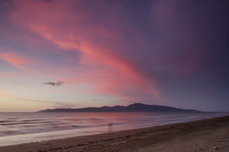 Île de Kapiti - Île du Nord - Nouvelle-Zélande