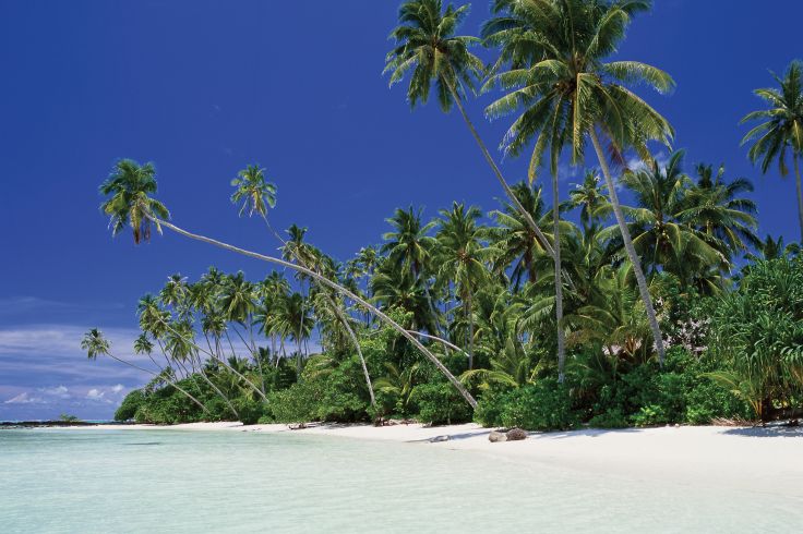 Virgin Cove - Upolu Island - Samoa