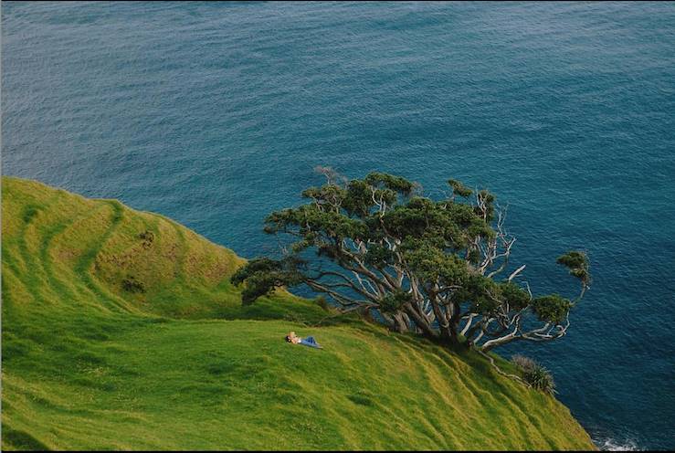 Voyages itinérants Nouvelle-Zélande - Taupo - Marlborough Sounds - Catlins - Glenorchy