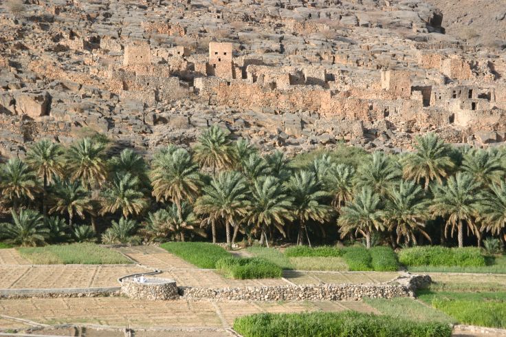 Voyage itinérant Oman - Mascate - Djebel Al Akhdar - Salalah