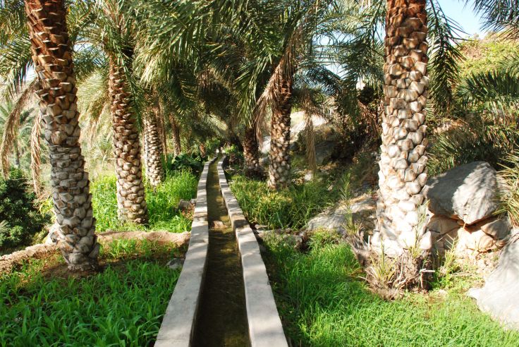 Voyage itinérant Oman - Mascate - Wahiba Sands - Djebel Shams - Al Hamrah