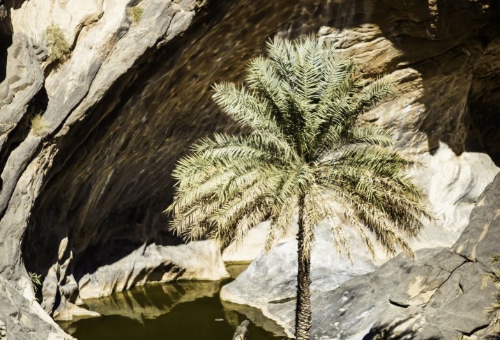 Wadi Bani Awf - Oman