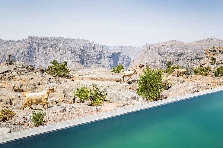 Djebel Akhdar - Oman