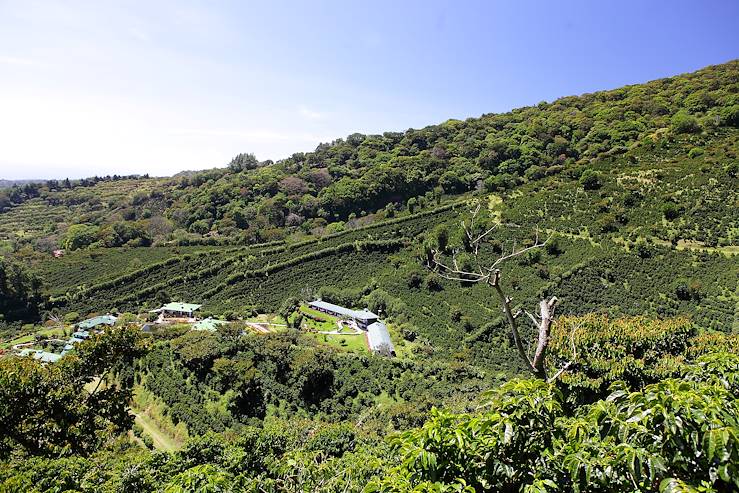 Boquete - Panama