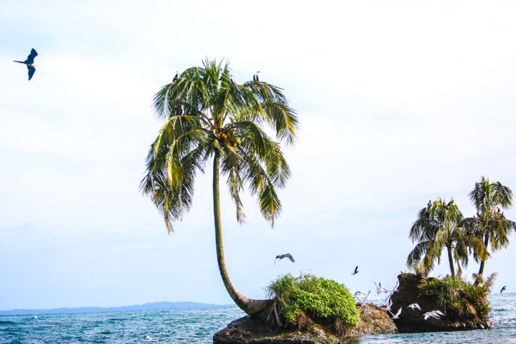 Voyage itinérant Panama - Pacifique - Caraïbes