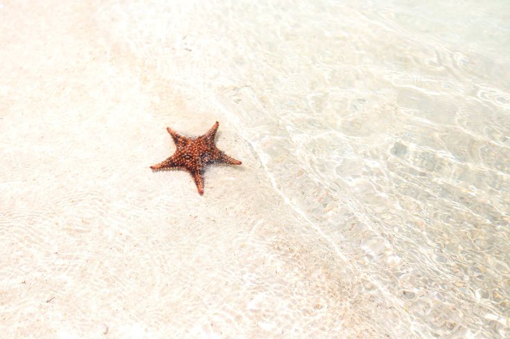 Voyage itinérant Panama - Pacifique - Caraïbes