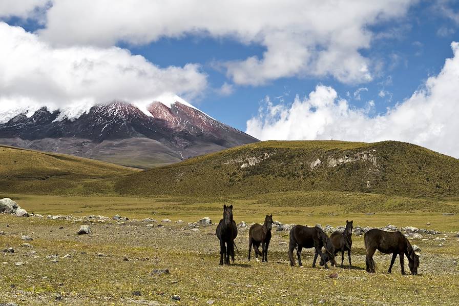 Volcan Cotopaxi - Equateur