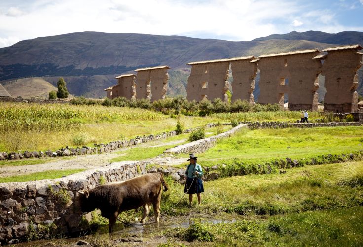 Temple de Raqchi - Cuzco - Pérou