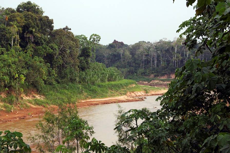 Puerto Maldonado - Madre de Dios - Pérou