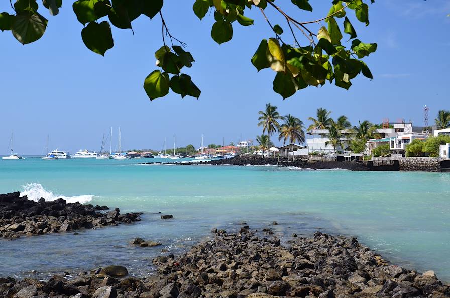 Santa Cruz - Galapagos - Equateur