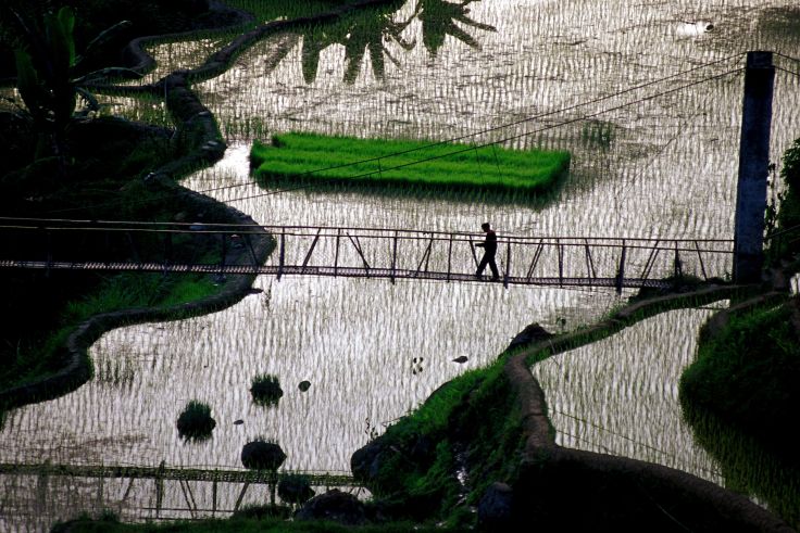 Banaue - Ifugao - Philippines