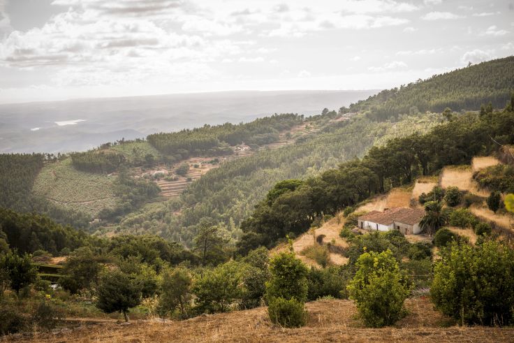 Algarve - Portugal