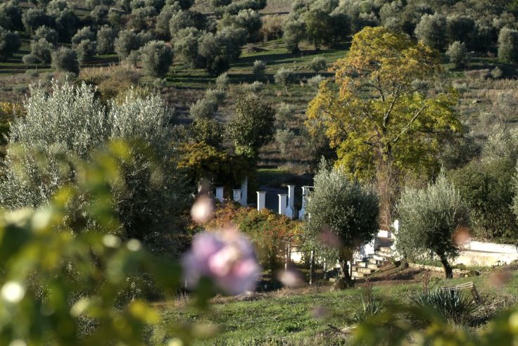 Pousada Nossa Senhora de Assunçao - Arraialos - Alentejo - Portugal
