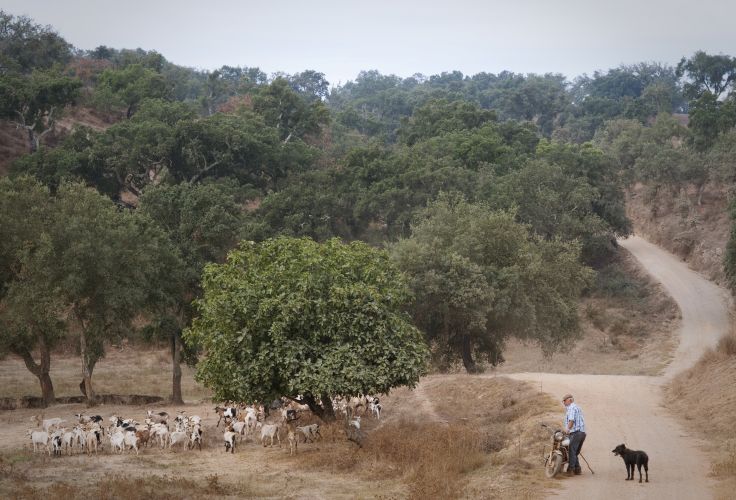 Alentejo - Portugal