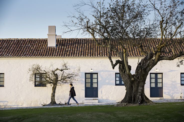 Monsaraz - Portugal