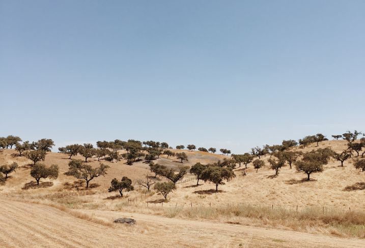 Alentejo - Portugal