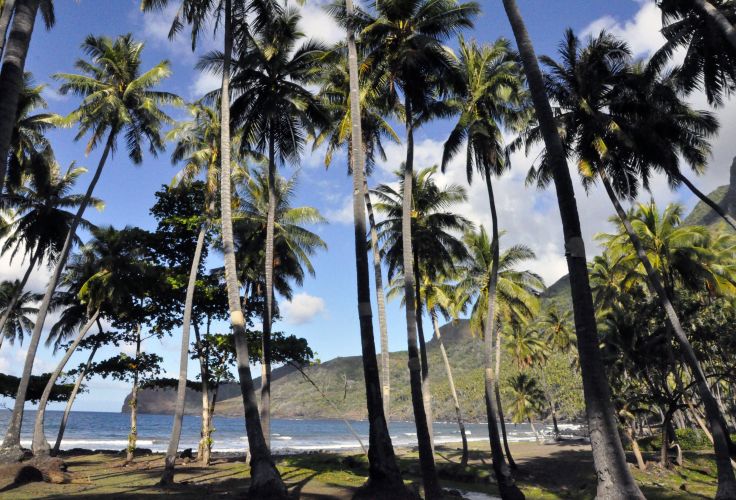 Nuku Hiva - Ile Marchand - Polynésie