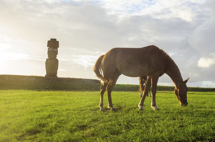 Ile de Pâques (Rapa Nui) - Chili