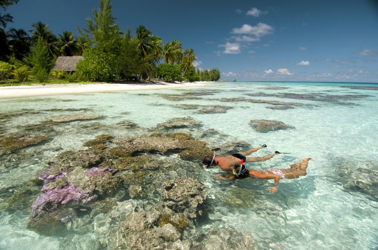 Résultat de recherche d'images pour "îles tuamotu îles"