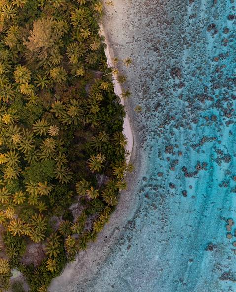 Polynésie © Roman/Unsplash