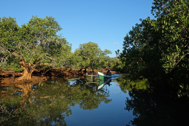 En bateau dans la mangrove - Mayotte