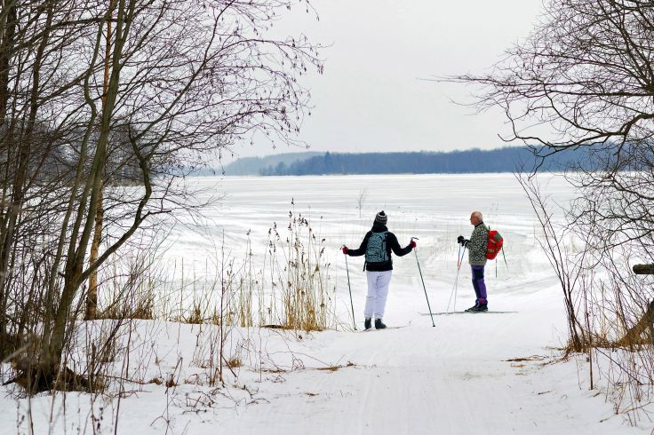Lac Onega - Île de Kiji - Carélie - Russie