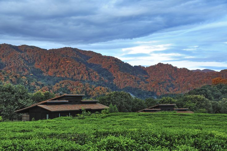Nyungwe - Rwanda