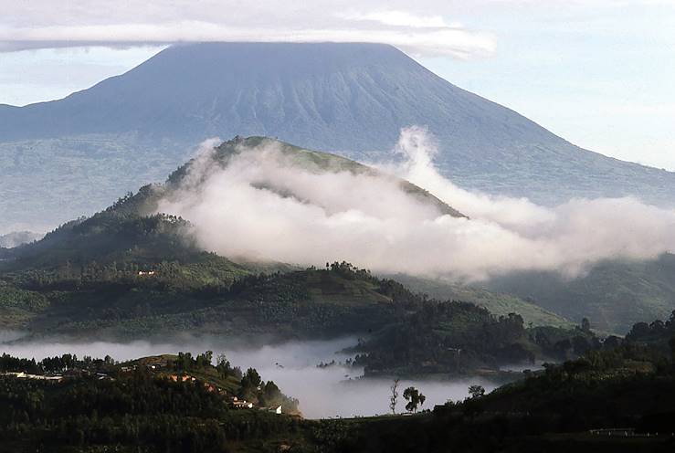 Parc national des Volcans - Rwanda