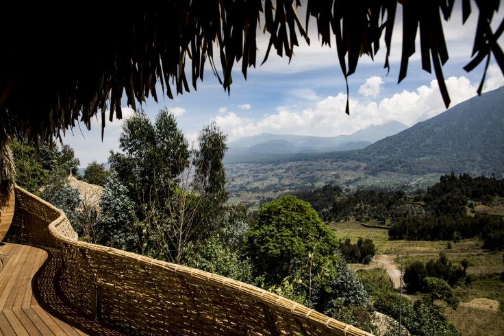 Parc National des Volcans - Rwanda