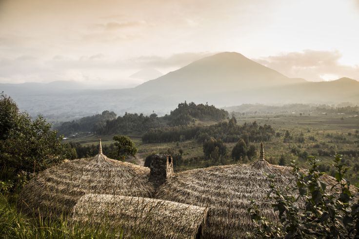 Parc National des Volcans - Rwanda
